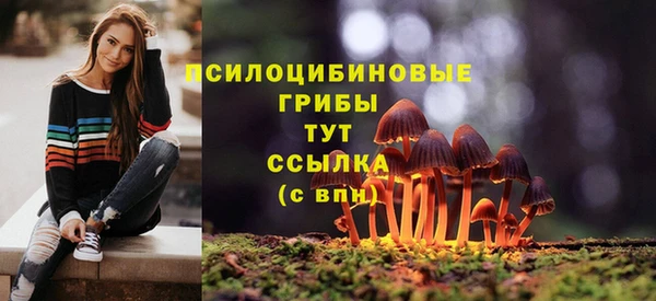 спиды Арсеньев