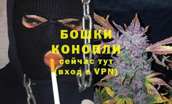 спиды Арсеньев