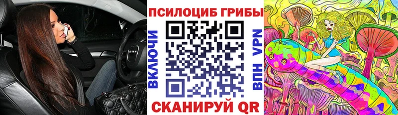 Галлюциногенные грибы ЛСД  сколько стоит  Устюжна 